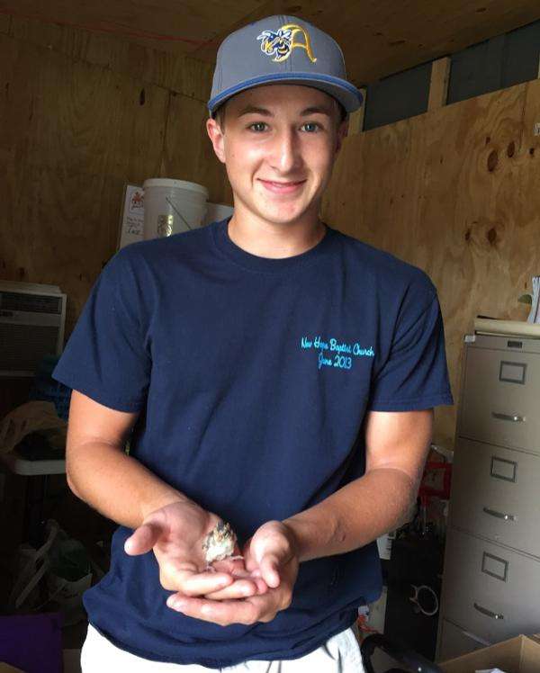 Who is Quail Forever?